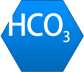 hydrogen carbonate ion