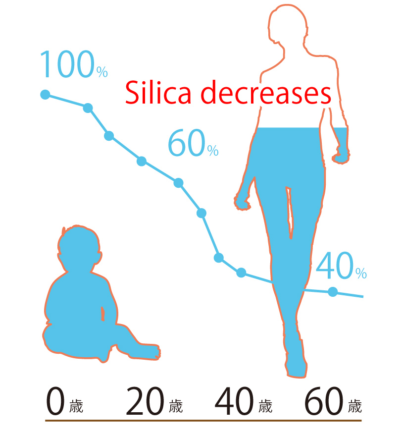 Silica decreases