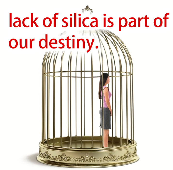 lack of silica is part of our destiny.