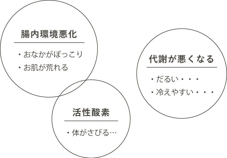 腸内環境悪化・おなかがぽっこり・お肌が荒れる 代謝が悪くなる・だるい・・・・冷えやすい・・・ 活性酸素・体がさびる…