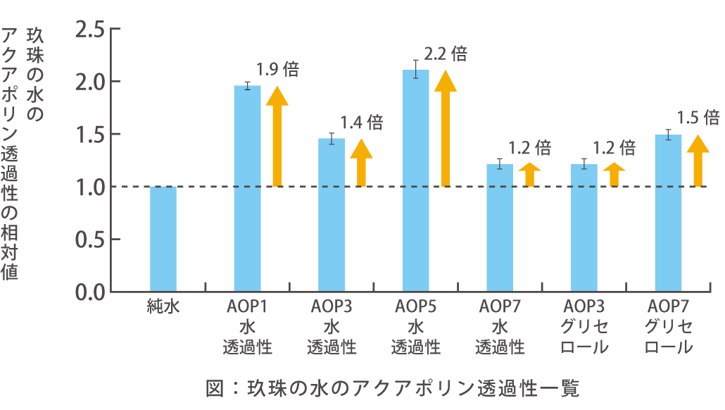 アクアポリン透過性の相対図